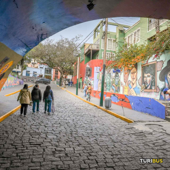 Exclusive Turibus route Pachacamac VIP