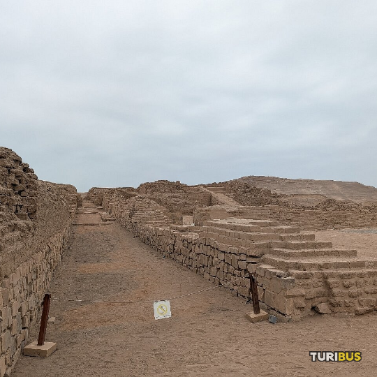 Vista turística Turibus Pachacamac VIP