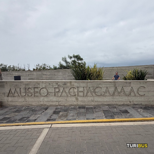 Pase Turibus 24 horas privacidad