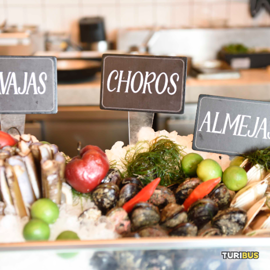 Turibus Lima experience tasting