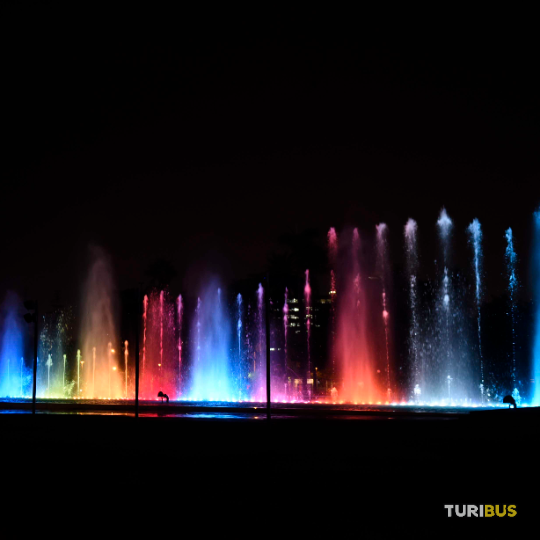 Turibus 24-hour pass urban tourism