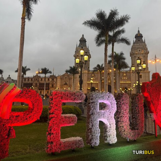 Exclusive Turibus route premium pass