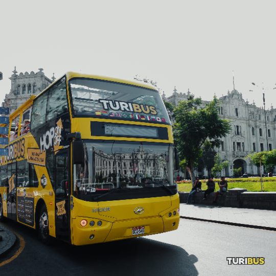 Turibus 24-hour pass locals sightseeing