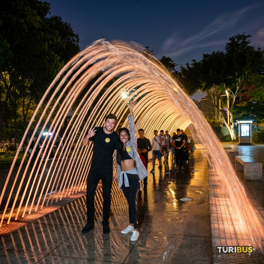 Turibus 24-hour pass city lights